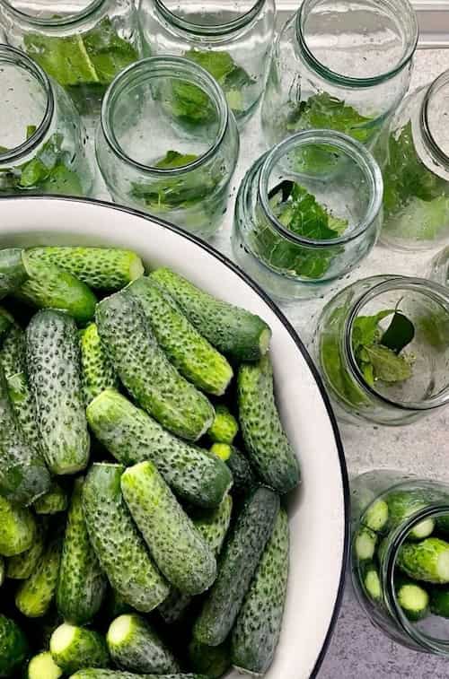 خیارشور درجه یک با طعم شور و بافت شکننده